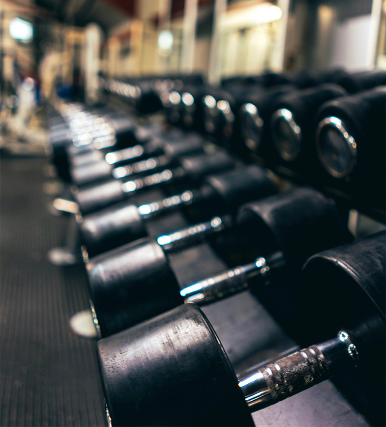 world-of-fitness-visual
